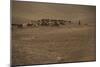 Shepherds and their flocks walk long distances in barren hills, Afghanistan-Alex Treadway-Mounted Photographic Print