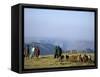 Shepherds at Geech Camp, Simien Mountains National Park, Unesco World Heritage Site, Ethiopia-David Poole-Framed Stretched Canvas