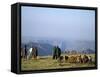 Shepherds at Geech Camp, Simien Mountains National Park, Unesco World Heritage Site, Ethiopia-David Poole-Framed Stretched Canvas