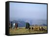 Shepherds at Geech Camp, Simien Mountains National Park, Unesco World Heritage Site, Ethiopia-David Poole-Framed Stretched Canvas