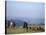 Shepherds at Geech Camp, Simien Mountains National Park, Unesco World Heritage Site, Ethiopia-David Poole-Stretched Canvas