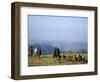 Shepherds at Geech Camp, Simien Mountains National Park, Unesco World Heritage Site, Ethiopia-David Poole-Framed Photographic Print