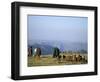 Shepherds at Geech Camp, Simien Mountains National Park, Unesco World Heritage Site, Ethiopia-David Poole-Framed Photographic Print