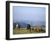 Shepherds at Geech Camp, Simien Mountains National Park, Unesco World Heritage Site, Ethiopia-David Poole-Framed Photographic Print