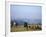 Shepherds at Geech Camp, Simien Mountains National Park, Unesco World Heritage Site, Ethiopia-David Poole-Framed Photographic Print