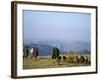 Shepherds at Geech Camp, Simien Mountains National Park, Unesco World Heritage Site, Ethiopia-David Poole-Framed Photographic Print