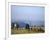 Shepherds at Geech Camp, Simien Mountains National Park, Unesco World Heritage Site, Ethiopia-David Poole-Framed Photographic Print