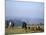 Shepherds at Geech Camp, Simien Mountains National Park, Unesco World Heritage Site, Ethiopia-David Poole-Mounted Photographic Print