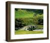 Shepherds Cabin In The Alps-null-Framed Art Print