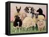 Shepherds Delight-Pat Scott-Framed Stretched Canvas