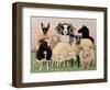 Shepherds Delight-Pat Scott-Framed Giclee Print