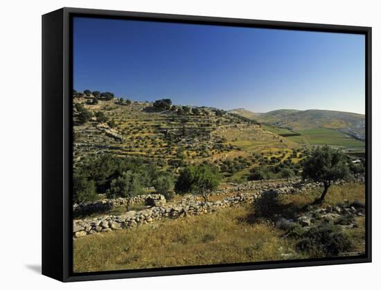 Shepherds Fields, Bethlehem, Israel-Jon Arnold-Framed Stretched Canvas