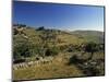 Shepherds Fields, Bethlehem, Israel-Jon Arnold-Mounted Photographic Print