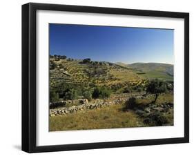 Shepherds Fields, Bethlehem, Israel-Jon Arnold-Framed Photographic Print