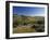 Shepherds Fields, Bethlehem, Israel-Jon Arnold-Framed Photographic Print