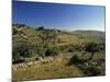 Shepherds Fields, Bethlehem, Israel-Jon Arnold-Mounted Photographic Print