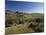 Shepherds Fields, Bethlehem, Israel-Jon Arnold-Mounted Photographic Print