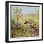 Shepherds, Tatoy, 1883-Erik Theodor Werenskiold-Framed Giclee Print