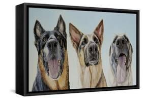 Shepherds-James Ruby-Framed Stretched Canvas