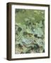 Shepherds-Francesco Paolo Michetti-Framed Giclee Print