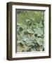 Shepherds-Francesco Paolo Michetti-Framed Giclee Print