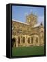 Sherborne Abbey, Dorset, England, United Kingdom-Michael Jenner-Framed Stretched Canvas