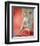 Sheree North-null-Framed Photo