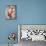 Sheree North-null-Mounted Photo displayed on a wall