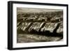 Sherman Tanks-null-Framed Art Print