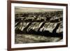 Sherman Tanks-null-Framed Art Print