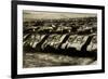 Sherman Tanks-null-Framed Art Print