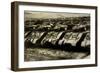 Sherman Tanks-null-Framed Premium Giclee Print