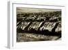 Sherman Tanks-null-Framed Premium Giclee Print