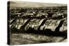 Sherman Tanks-null-Stretched Canvas