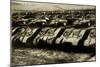 Sherman Tanks-null-Mounted Art Print