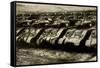 Sherman Tanks-null-Framed Stretched Canvas