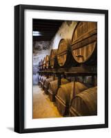 Sherry Casks, Bodegas Gonzalez Byass, Jerez De La Frontera, Spain-Walter Bibikow-Framed Photographic Print