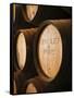 Sherry Casks, Bodegas Gonzalez Byass, Jerez De La Frontera, Spain-Walter Bibikow-Framed Stretched Canvas