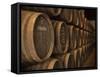 Sherry Casks, Bodegas Gonzalez Byass, Jerez De La Frontera, Spain-Walter Bibikow-Framed Stretched Canvas