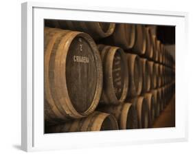 Sherry Casks, Bodegas Gonzalez Byass, Jerez De La Frontera, Spain-Walter Bibikow-Framed Photographic Print