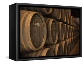 Sherry Casks, Bodegas Gonzalez Byass, Jerez De La Frontera, Spain-Walter Bibikow-Framed Stretched Canvas