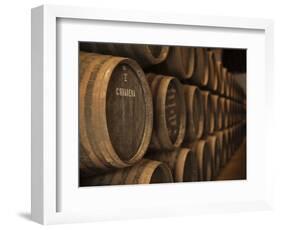 Sherry Casks, Bodegas Gonzalez Byass, Jerez De La Frontera, Spain-Walter Bibikow-Framed Photographic Print