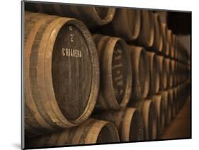 Sherry Casks, Bodegas Gonzalez Byass, Jerez De La Frontera, Spain-Walter Bibikow-Mounted Photographic Print