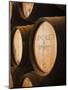 Sherry Casks, Bodegas Gonzalez Byass, Jerez De La Frontera, Spain-Walter Bibikow-Mounted Photographic Print