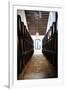 Sherry casks in a winery, Gonzalez Byass, Jerez De La Frontera, Cadiz Province, Andalusia, Spain-null-Framed Premium Photographic Print