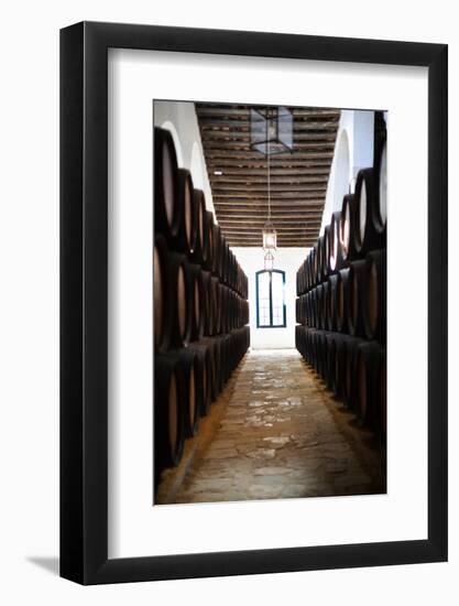 Sherry casks in a winery, Gonzalez Byass, Jerez De La Frontera, Cadiz Province, Andalusia, Spain-null-Framed Photographic Print