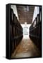 Sherry casks in a winery, Gonzalez Byass, Jerez De La Frontera, Cadiz Province, Andalusia, Spain-null-Framed Stretched Canvas