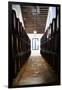 Sherry casks in a winery, Gonzalez Byass, Jerez De La Frontera, Cadiz Province, Andalusia, Spain-null-Framed Premium Photographic Print