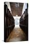 Sherry casks in a winery, Gonzalez Byass, Jerez De La Frontera, Cadiz Province, Andalusia, Spain-null-Stretched Canvas