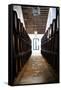 Sherry casks in a winery, Gonzalez Byass, Jerez De La Frontera, Cadiz Province, Andalusia, Spain-null-Framed Stretched Canvas